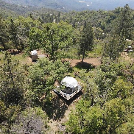 Enchanted Forest Dome ,10-15 Minutes To Kings Canyons-New Pellet Stove For Cozy Warm Nights Dunlap Εξωτερικό φωτογραφία