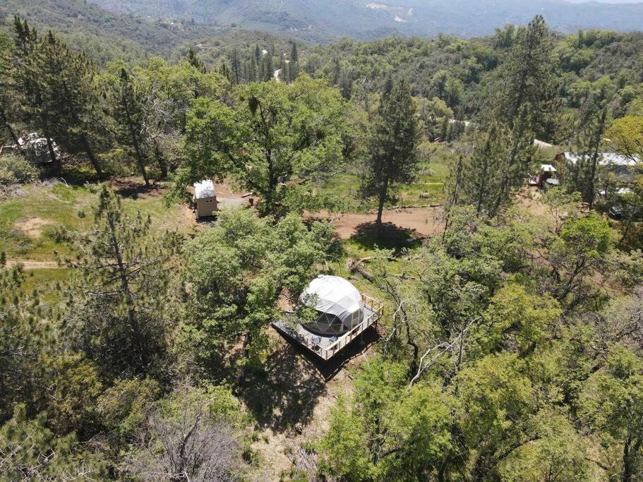 Enchanted Forest Dome ,10-15 Minutes To Kings Canyons-New Pellet Stove For Cozy Warm Nights Dunlap Εξωτερικό φωτογραφία