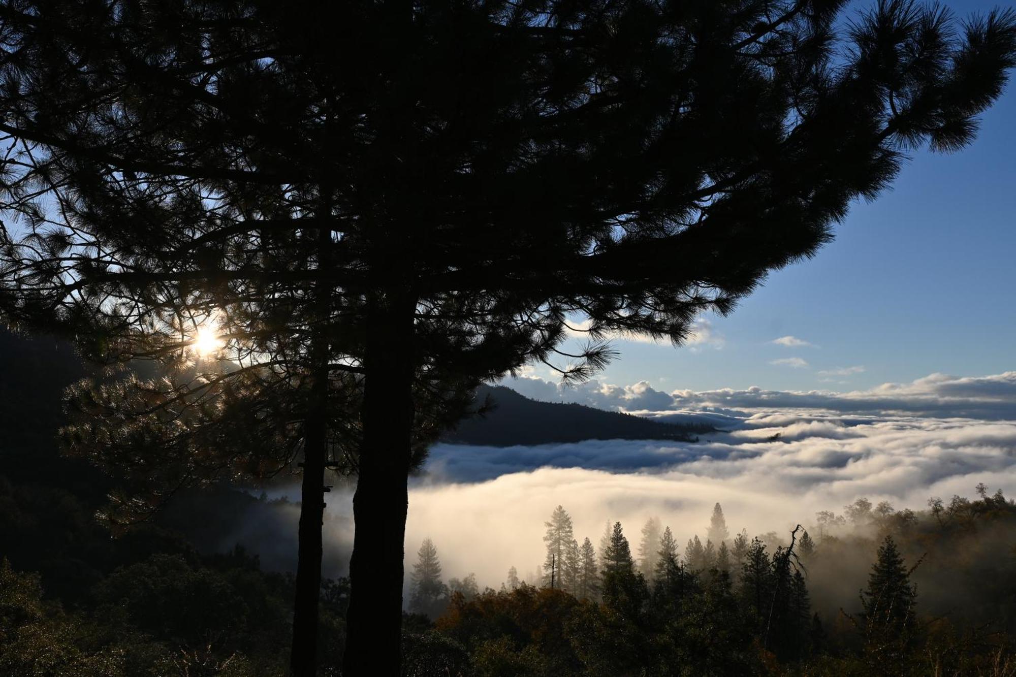 Enchanted Forest Dome ,10-15 Minutes To Kings Canyons-New Pellet Stove For Cozy Warm Nights Dunlap Εξωτερικό φωτογραφία